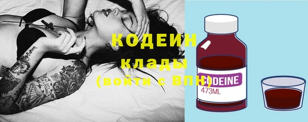 дмт Анива