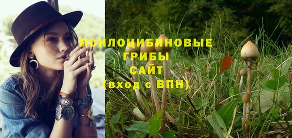 спиды Михайловка