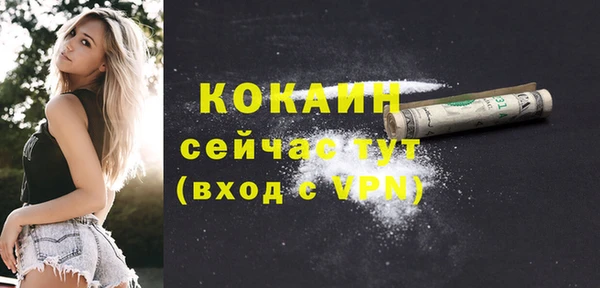 дмт Анива